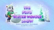 The Pups' Winter Wonder Show still