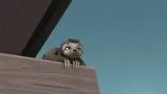 Pups Save a Sloth still