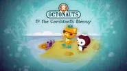 The Combtooth Blenny still