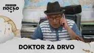 2540 Doktor za drvo still