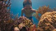 The Coral City still