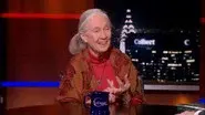 Jane Goodall still