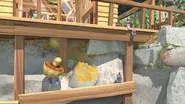 Mushroom Hunt still