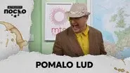2429 Pomalo lud still