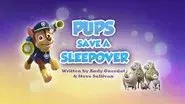 Pups Save a Sleepover still
