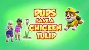 Pups Save a Chicken Tulip still