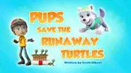 Pups Save the Runaway Turtles still