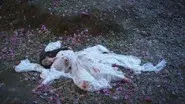 Episode 26 still