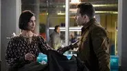 The Shipping News still