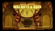 Walnuts & Rain still