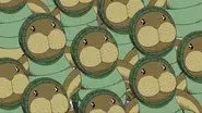Erumalu, The City of Green and the Kung Fu Dugongs!! still