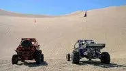 Looney Dunes still