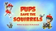 Pups Save the Squirrels still