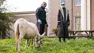 Donkey Patrol still