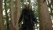 Forest of the Damned still