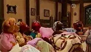Bears Try to Hibernate still