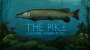 The Pike: Lough Erne, Northern Ireland still