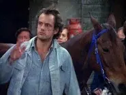 Jim Gets a Pet still