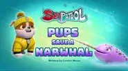 Sea Patrol: Pups Save a Narwhal still