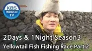 Yellowtail Fish Fishing Race (1) still