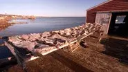 12/12/2021: Negotiating With the Taliban, Let There Be Light, An Island Off an Island still