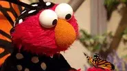 Elmo's Butterfly Friend still