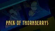 Pack of Thornberrys still
