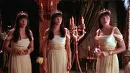 Warrior... Priestess... Tramp still