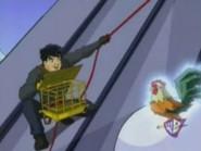 When Pigs Fly still