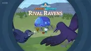 Rival Ravens still