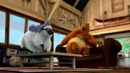 A Bear in the Sheepfold still