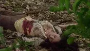 Cassadaga still