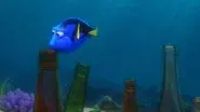 Dory Finding still