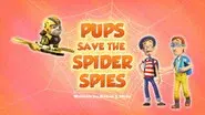 Pups Save the Spider Spies still