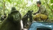 Meet the Monkeys still