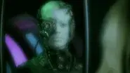 Human Error still