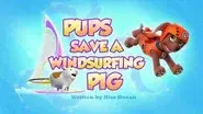Pups Save a Windsurfing Pig still