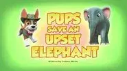 Pups Save an Upset Elephant still