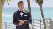 The Weddings still