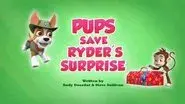 Pups Save Ryder's Surprise still