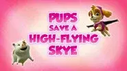 Pups Save a High-Flying Skye still