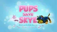 Pups Save Skye still
