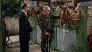 The Gift Horse still