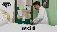 2529 Bakšiš still