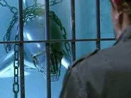 Dolphinnegan's Wake still