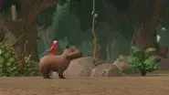 Pups Save a Capybara still