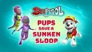 Sea Patrol: Pups Save a Sunken Sloop still