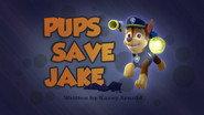 Pups Save Jake still
