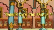 Darwin Plays the Palace still