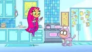 Cat's Fancy still